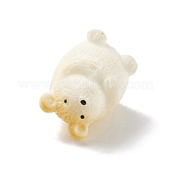 Mini Resin Display Decorations&nbsp;DJEW-G026-13