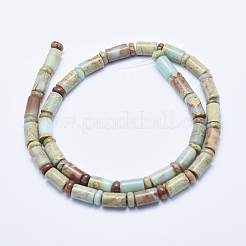 Natural Aqua Terra Jasper Beads Strands&nbsp;G-E444-18