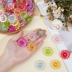 100Pcs Transparent Acrylic Beads&nbsp;TACR-PA0001-22
