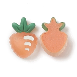 Transparent Resin Decoden Cabochons&nbsp;RESI-F024-04