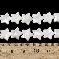 Natural Trochid Shell/Trochus Shell Beads Strands&nbsp;SH-CBA2978-17B