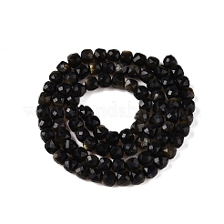 Natural Golden Sheen Obsidian Beads Strands&nbsp;G-N342-110