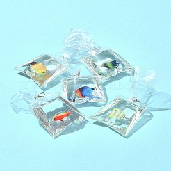 5Pcs 5 Colors Resin Pendants with Iron Jump Ring&nbsp;RESI-FS0001-70