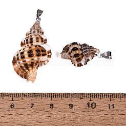 Brass & Natural Spiral Shell Pendants&nbsp;SHEL-Q029-24P