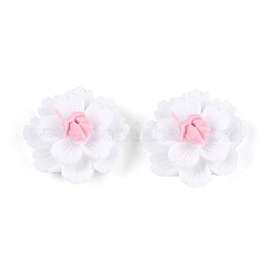 Resin Decoden Cabochons&nbsp;CRES-T025-04A
