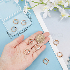 10Pcs Brass Micro Pave Cubic Zirconia Pendants&nbsp;ZIRC-BBC0002-31