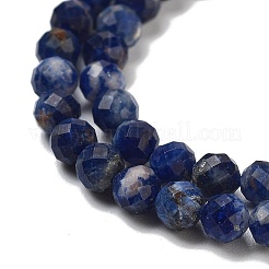 Natural Sodalite Beads Strands&nbsp;G-B088-C03-04