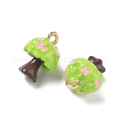 Alloy Enamel Pendants&nbsp;FIND-A060-01G-02