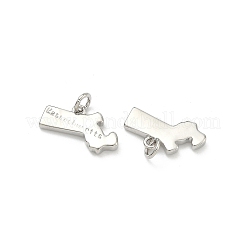 Brass Pendants&nbsp;KK-D229-22K-P