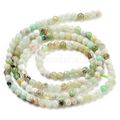 Natural Serpentine Beads Strands&nbsp;LS-G-G161-D24-01