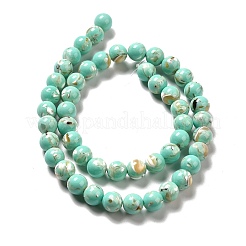 Synthetic Turquoise and Sea Shell Assembled Beads Strands&nbsp;X-G-D482-01C-08