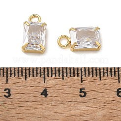 Brass Micro Pave Clear Cubic Zirconia Charms&nbsp;CU-CBAD360-11G-02