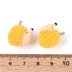 Autumn Theme Opaque Resin Pendants&nbsp;X-RESI-T028-78