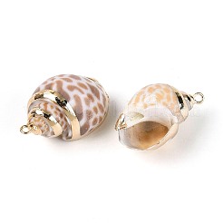 Electroplate Natural Spiral Shell Pendants&nbsp;SSHEL-N042-08