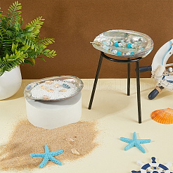 2Pcs Natural Abalone Shell Display Decorations&nbsp;DIY-WR0005-29A