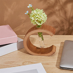 Glass Hydroponic Vase&nbsp;AJEW-WH0709-388A