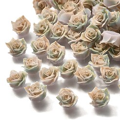 Luminous Opaque Resin Cabochons&nbsp;CRES-R458-14A-04