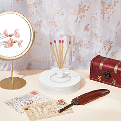 Glass Matchwood Cloche with Punch Match Holder&nbsp;AJEW-WH0816-334