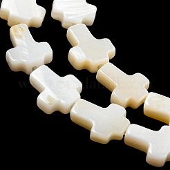 Natural Freshwater Shell Beads Strands&nbsp;BSHE-G034-26