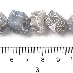 Natural Weathered Agate Beads Strands&nbsp;G-Q169-C04-01A
