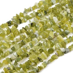 Natural Jade Chip Beads Strands&nbsp;X-G-B160-B02