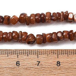 Dyed Natural Freshwater Shell Beads Strands&nbsp;SH-CBA2978-04A