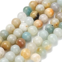 Natural Flower Amazonite Beads Strands&nbsp;G-F826-C01-6mm