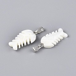 Natural Trochus Shell Pendants&nbsp;SSHEL-T017-43
