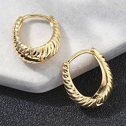 Brass Hoop Earrings&nbsp;EJEW-D320-15G