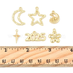 12Pcs 6 Styles Alloy Pendants&nbsp;FIND-FS0003-38G