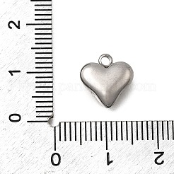 304 Stainless Steel Charms&nbsp;STAS-Z163-03P