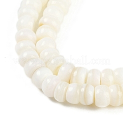 Natural Freshwater Shell  Beads Strands&nbsp;BSHE-H109-07