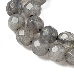 Natural Labradorite Beads Strands&nbsp;G-G213-4mm-03