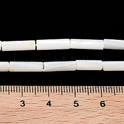 Freshwater Shell Beads Strands&nbsp;X-BSHE-L037-13