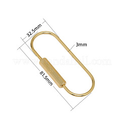 Brass Screw Carabiner Lock Charms&nbsp;KK-ZX025-63C