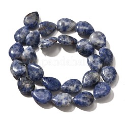 Natural Blue Spot Jasper Beads Strands&nbsp;G-P561-B06-01