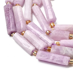 Natural Kunzite Beads Strands&nbsp;G-D353-A15
