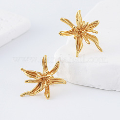 304 Stainless Steel Stud Earrings for Women&nbsp;XA8968