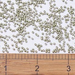 MIYUKI Delica Beads&nbsp;SEED-J020-DB1181