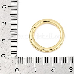 Brass Spring Gate Rings&nbsp;KK-M311-29A-G