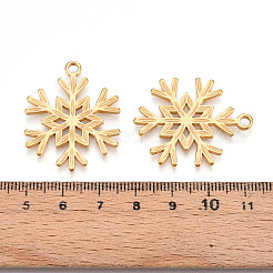 304 Stainless Steel Pendants&nbsp;STAS-N109-97G