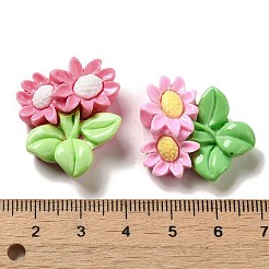 Flower Theme Opaque Resin Decoden Cabochons&nbsp;RESI-C044-02