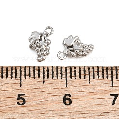 304 Stainless Steel Charms&nbsp;SA-CBAC865-04A-P