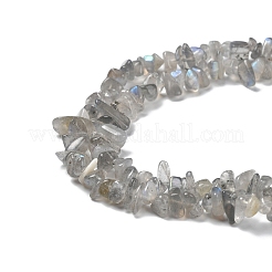 Natural Labradorite Beads Strands&nbsp;G-P497-03A-04