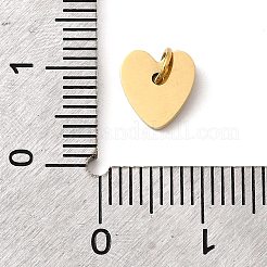 304 Stainless Steel Charms&nbsp;STAS-B093-13G