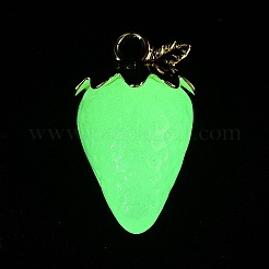 Luminous Acrylic Pendants&nbsp;AC-CBAC788-04F