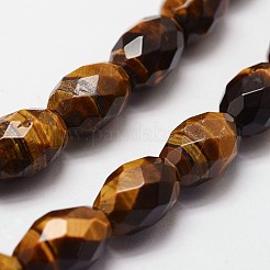 Natural Tiger Eye Beads Strands&nbsp;G-N0179-02-10x15mm