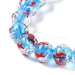 Handwork Lampwork Enamel Beads&nbsp;GLAA-B021-02