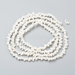 Natural Spiral Shell Beads Strands&nbsp;X-BSHE-I011-11C