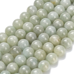 Natural Myanmar Jade/Burmese Jade Beads Strands&nbsp;G-L642-B11-8mm